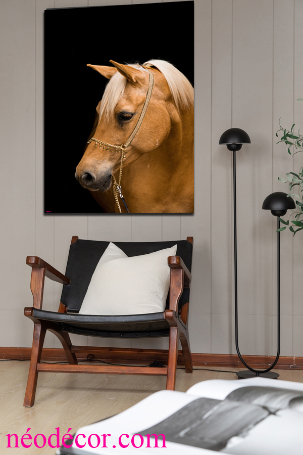 Cadtrs décor ref : Cheval  9622