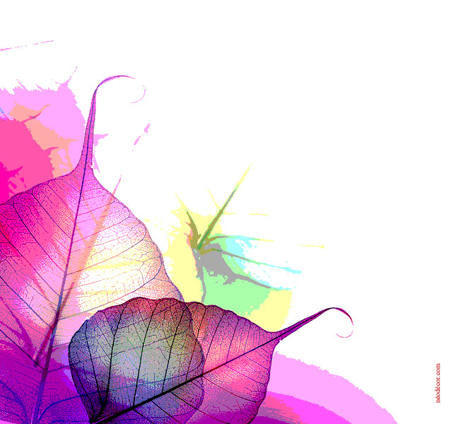 Cadre décor ref :  Géométrie 7663