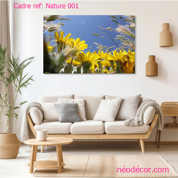 Cadre décor ref : Nature 001