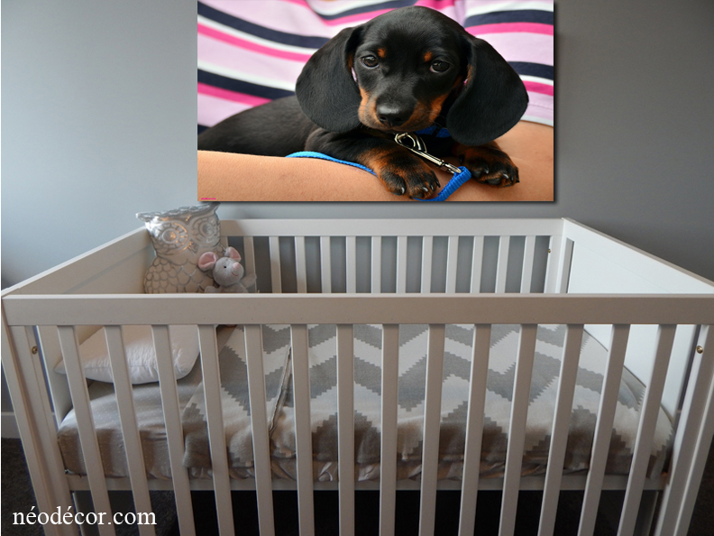 Cadre décor ref : Chien 9374