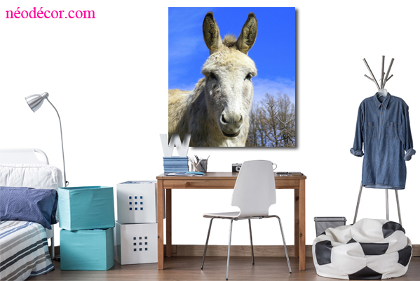 Cadre décor ref : 1280