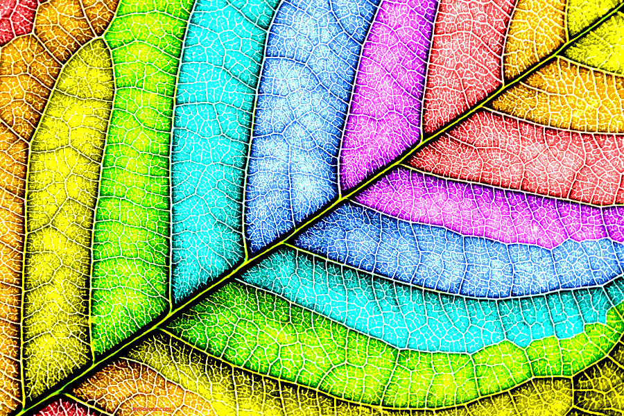 Cadre décor ref : Géométrie 7627