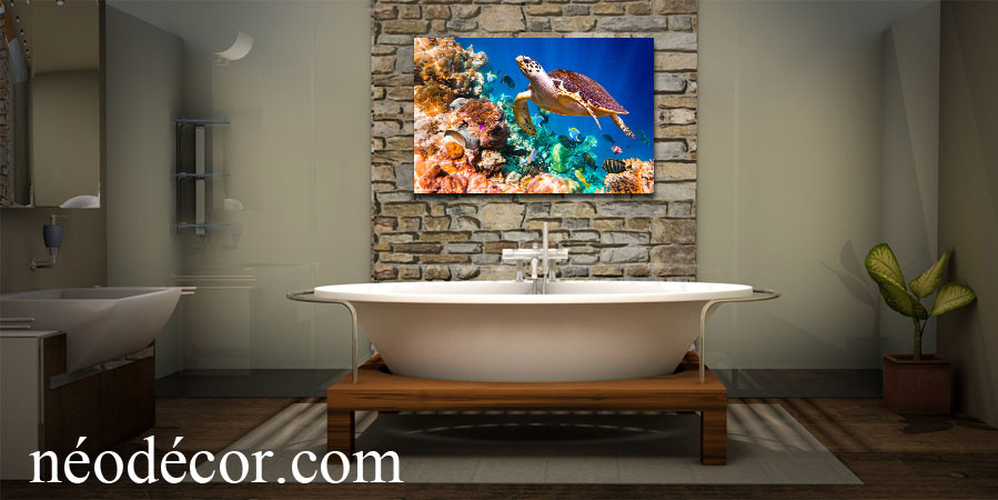 Cadres décor ref : Tortue corail 2