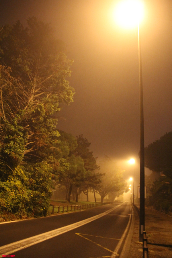 Cadre décor ref : Mondardier 101