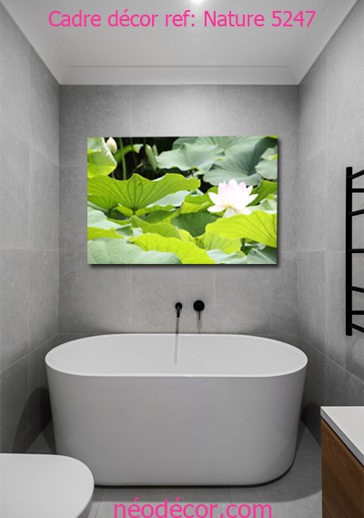 Cadre décor ref : Nature 5247