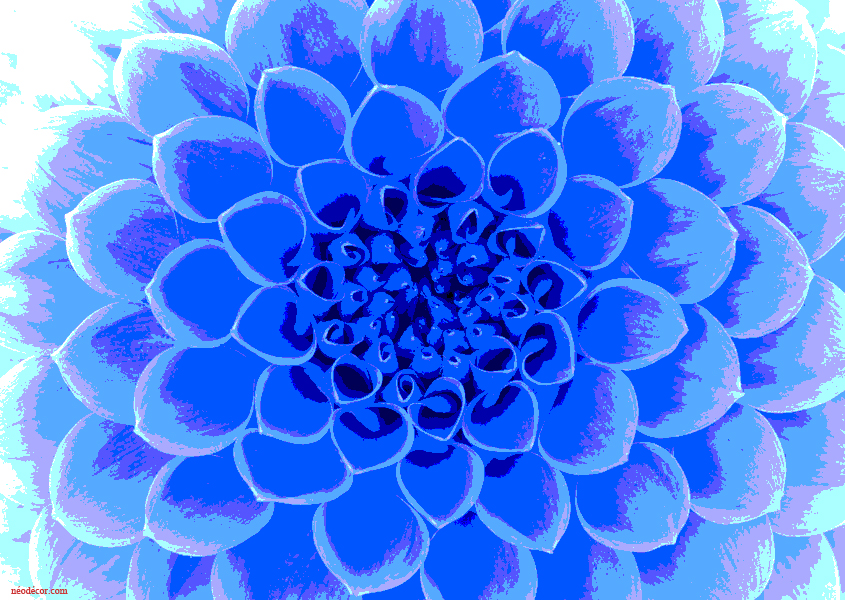 Cadres décor ref : Géométrie 3344