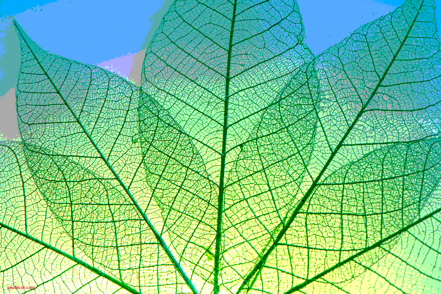 Cadres décor ref : Géométrie 2074