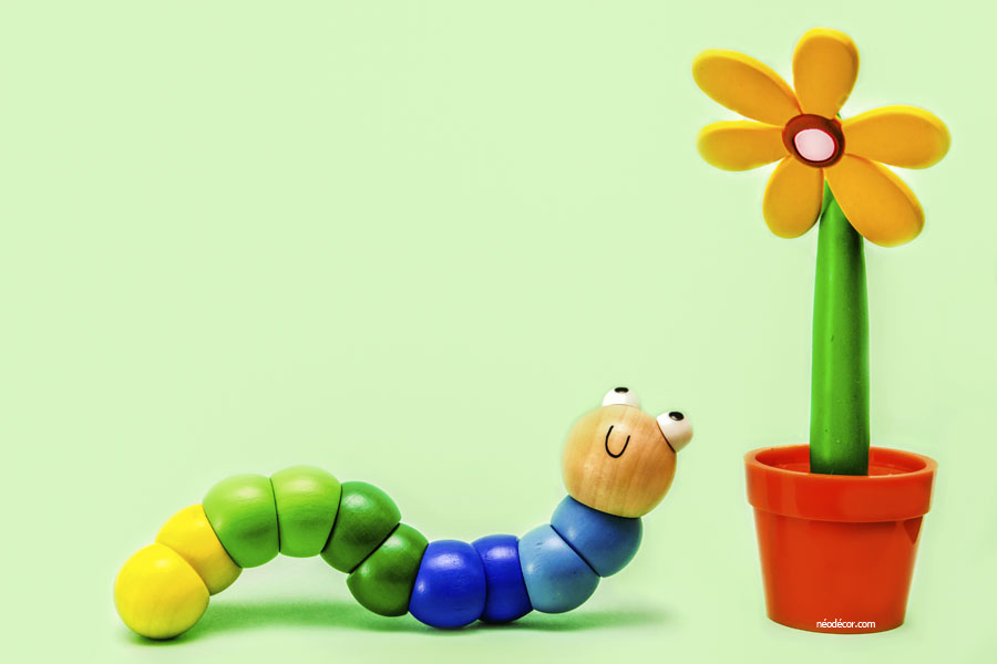 Cadre décor ref : Chenille Fleur