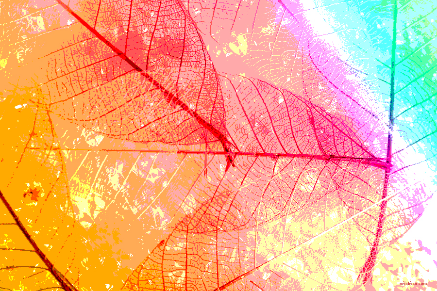 Cadres décor ref : Géométrie 6482