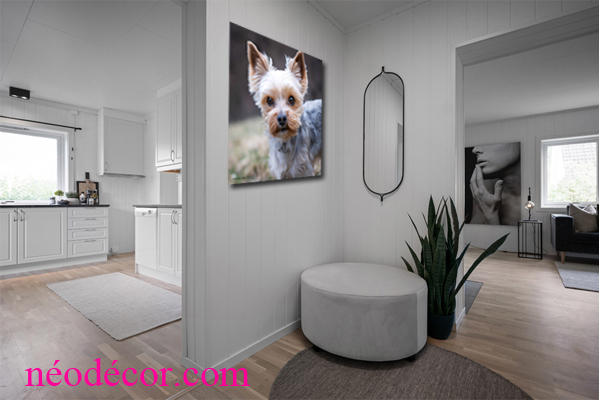 Cadres décor ref : Chien 3327