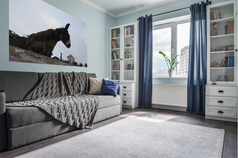 Cadre décor ref : Ane 023 Impression sur support Dibond avec laminage