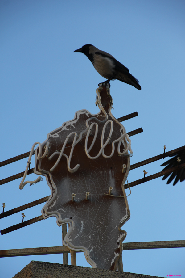 Cadres décor ref : Oiseau 066