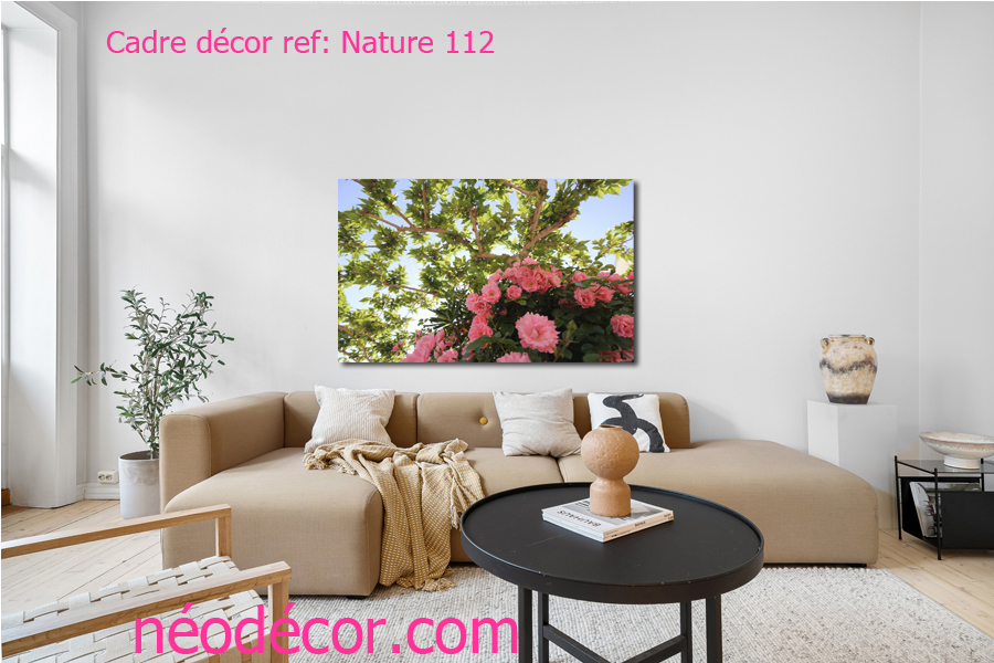 Cadre décor ref : Nature 112