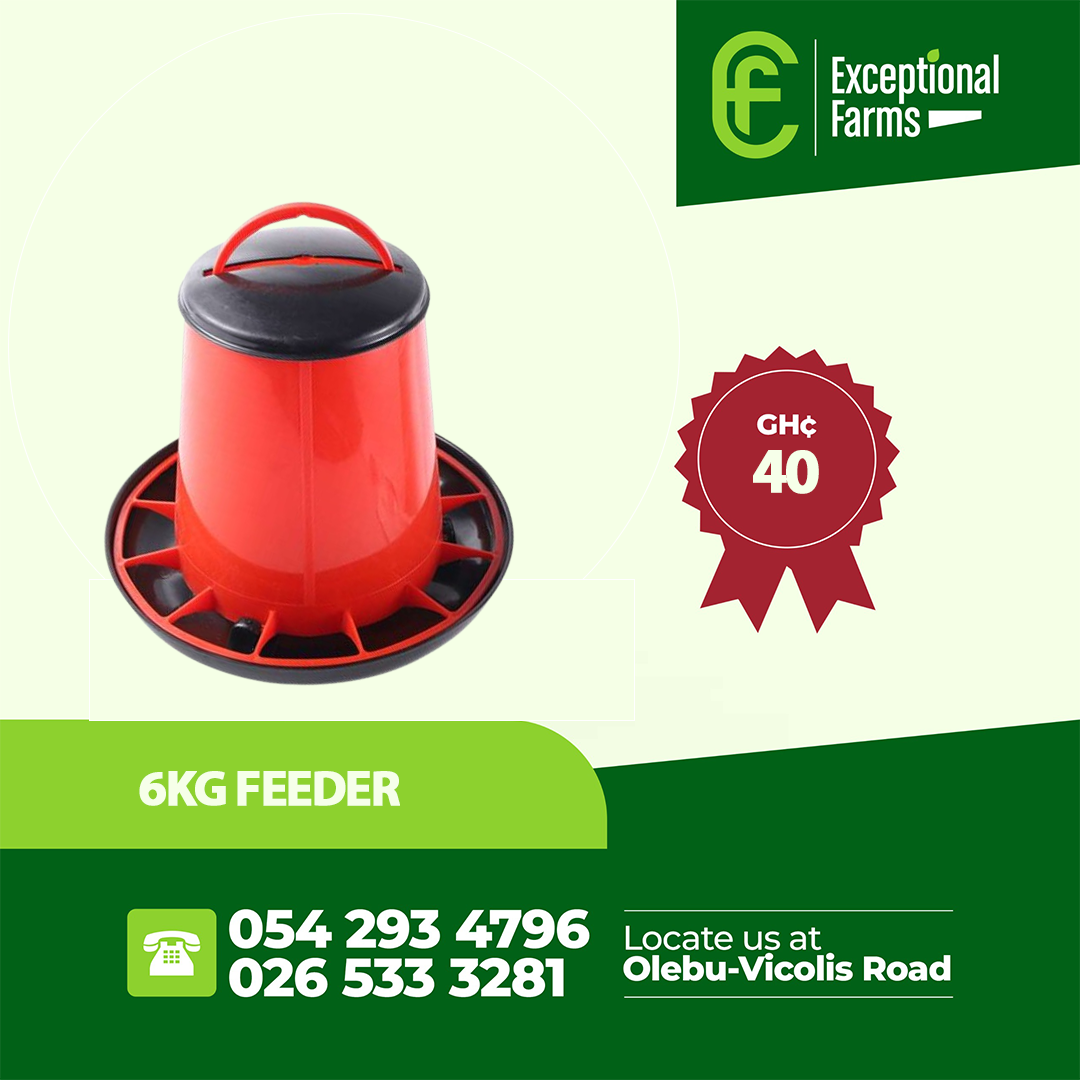 6KG Poultry Feeder