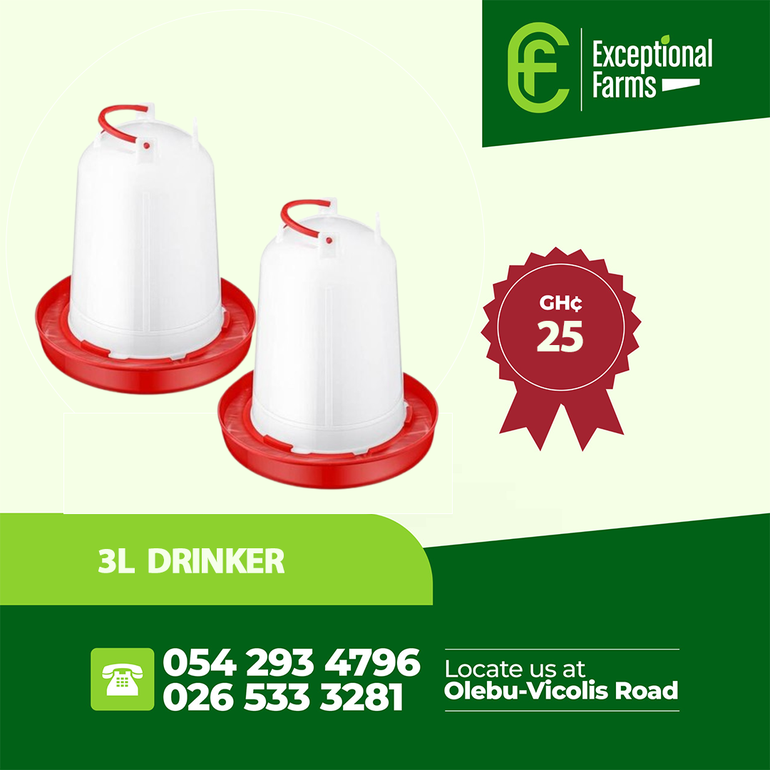 3L Poultry Drinker