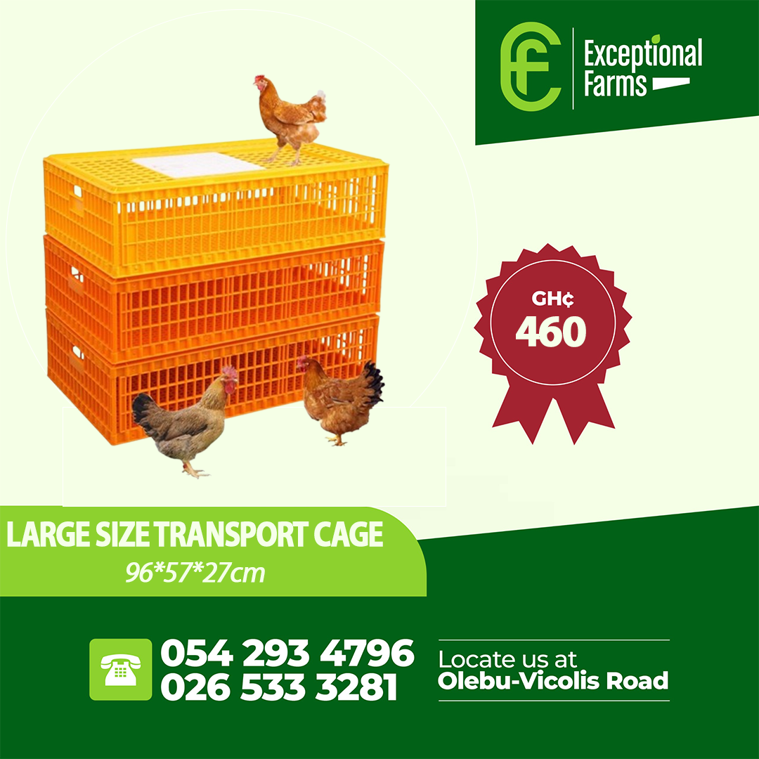 Large Transport Cage