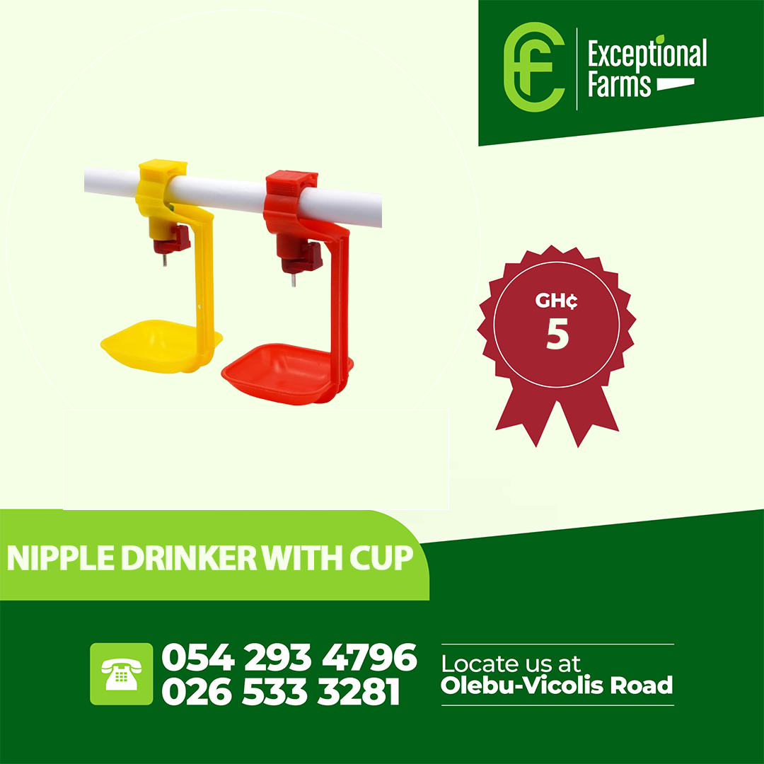 Poultry Nipple Drinker with Cup