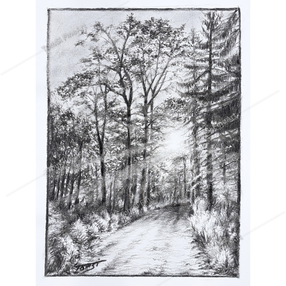 Coal Country Landscape #2