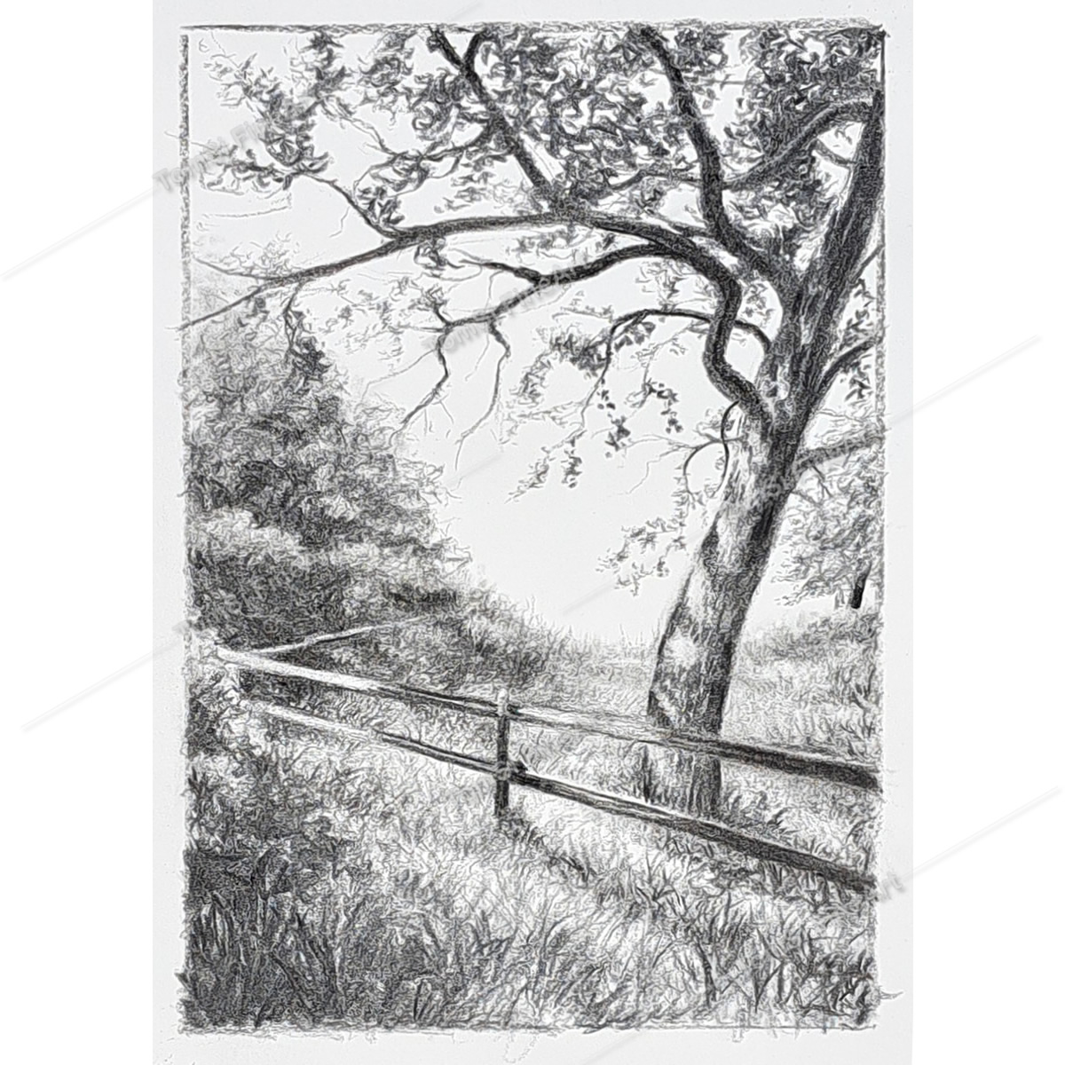 Coal Country Landscape #3