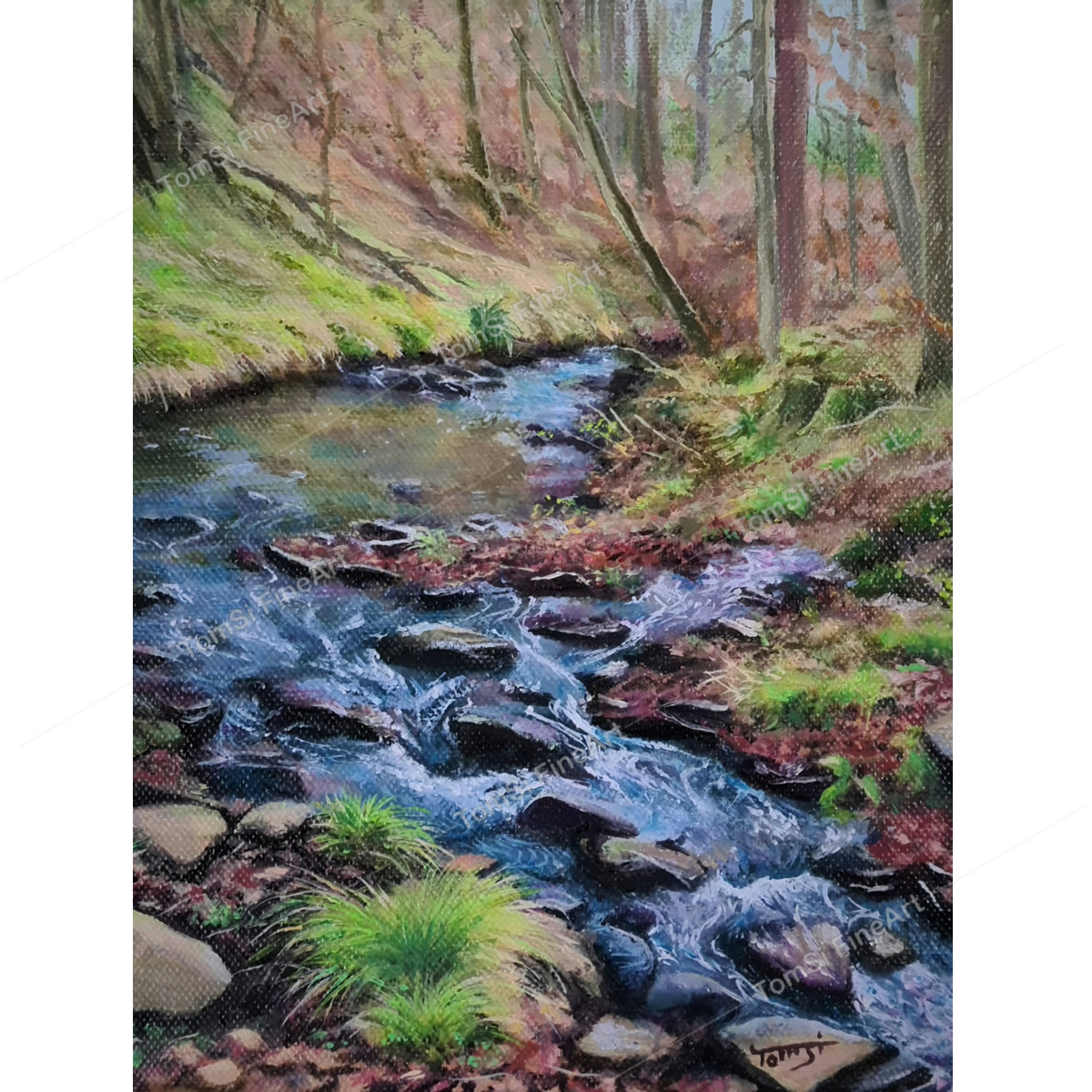 Hidden Forest Stream