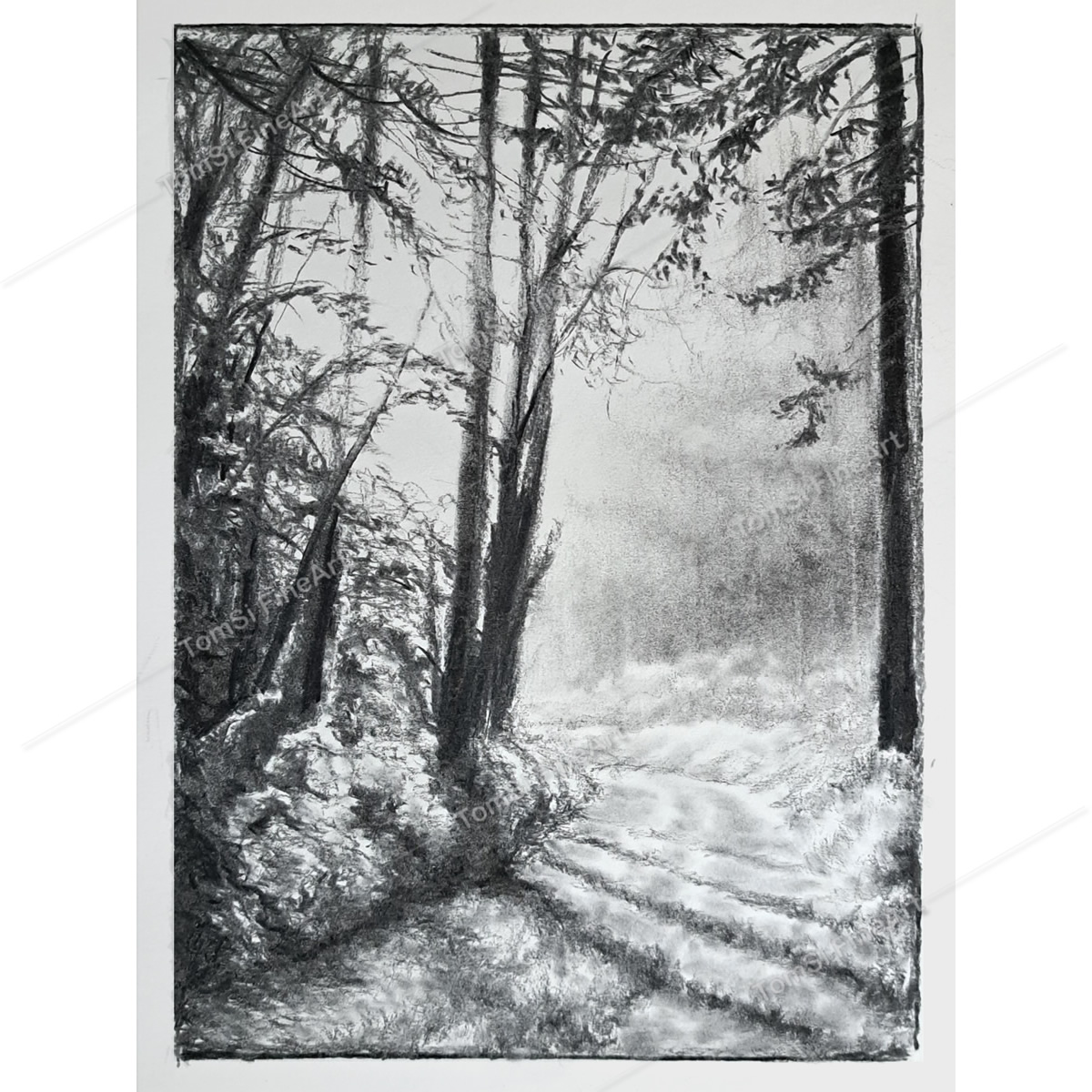 Coal Country Landscape #1