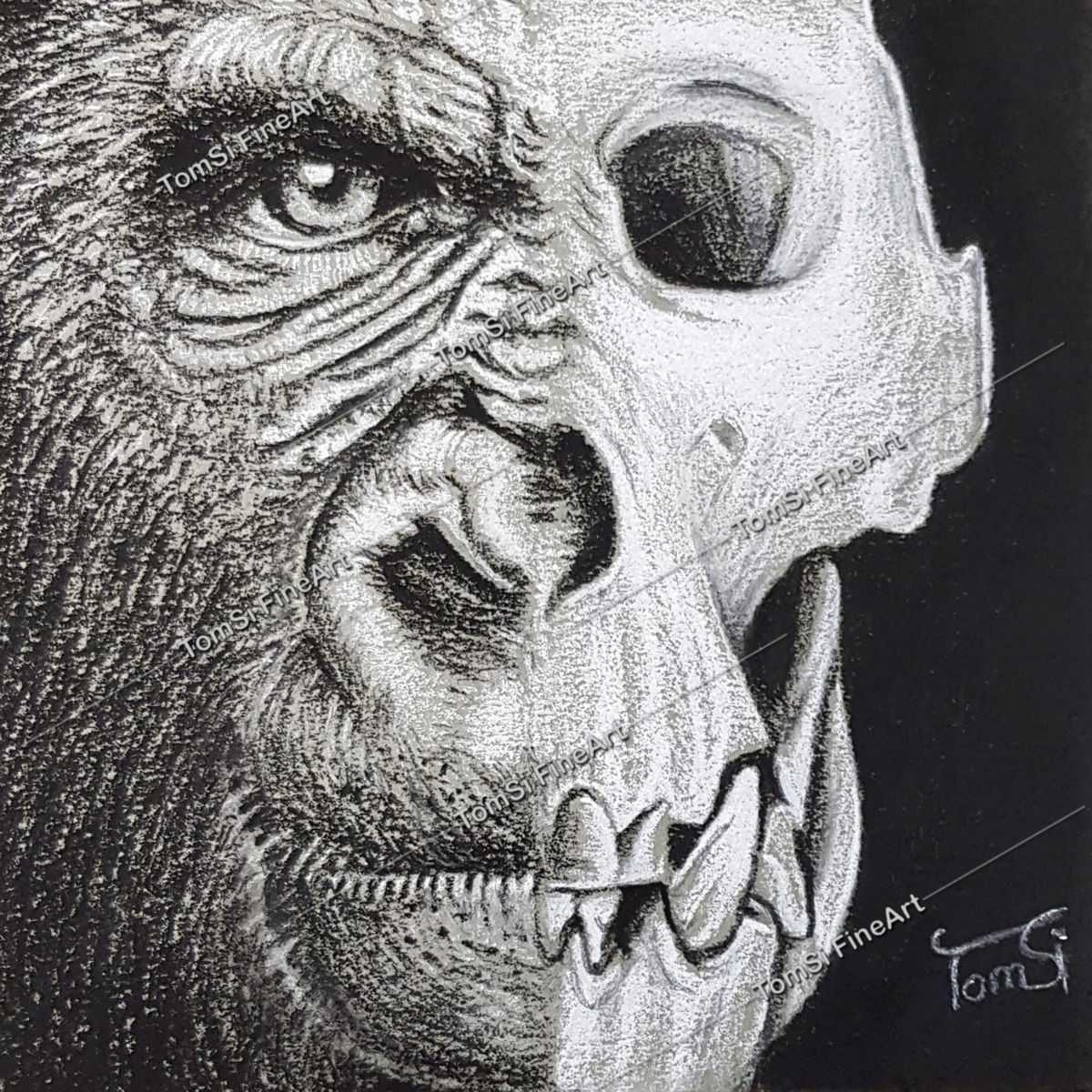 Kong-Skull