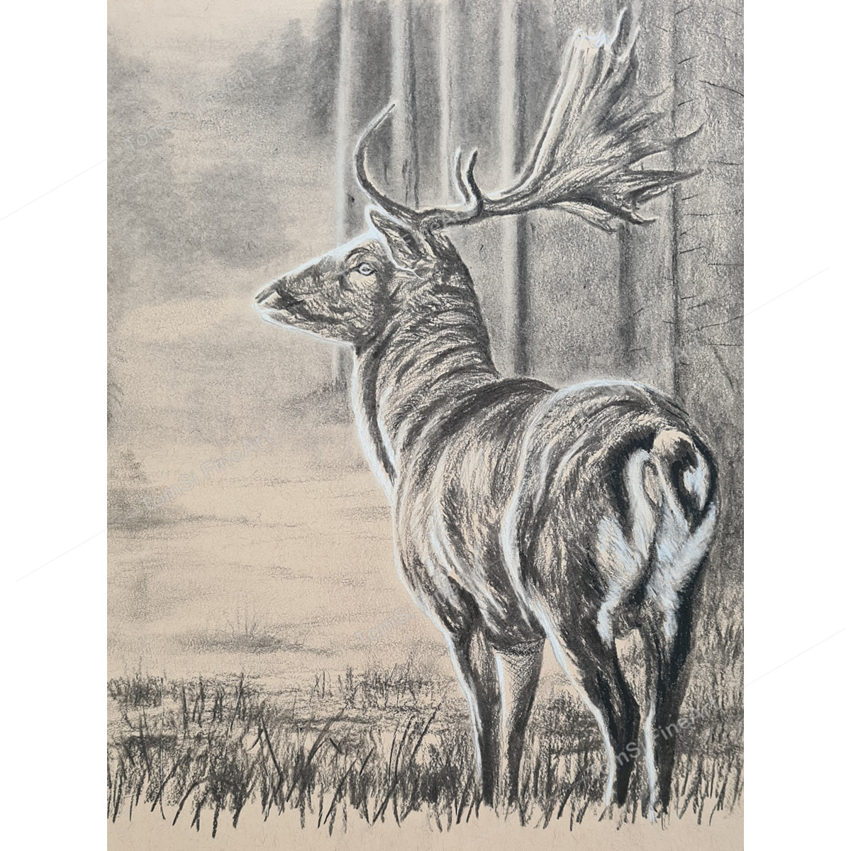 Oh Deer - Charcoal