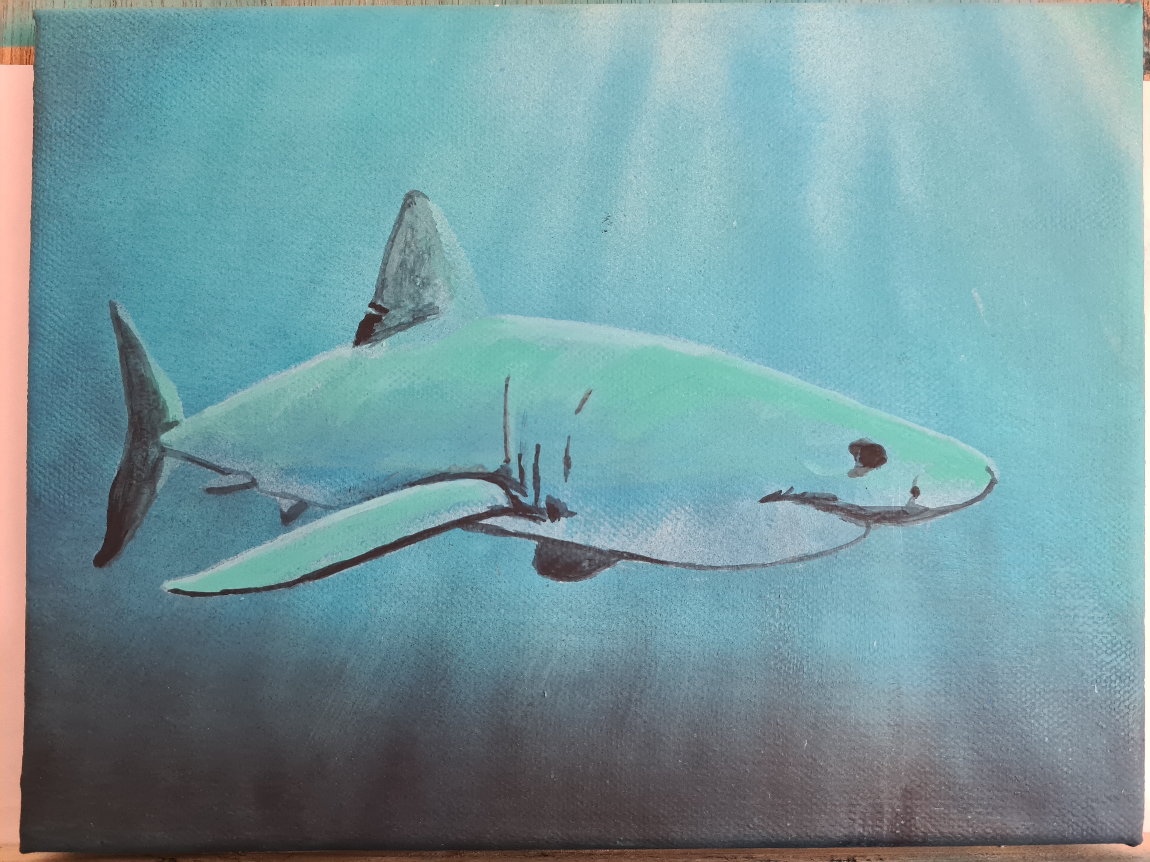 Small Great White #2