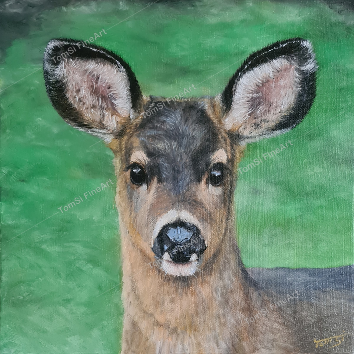 My Dear Deer #1