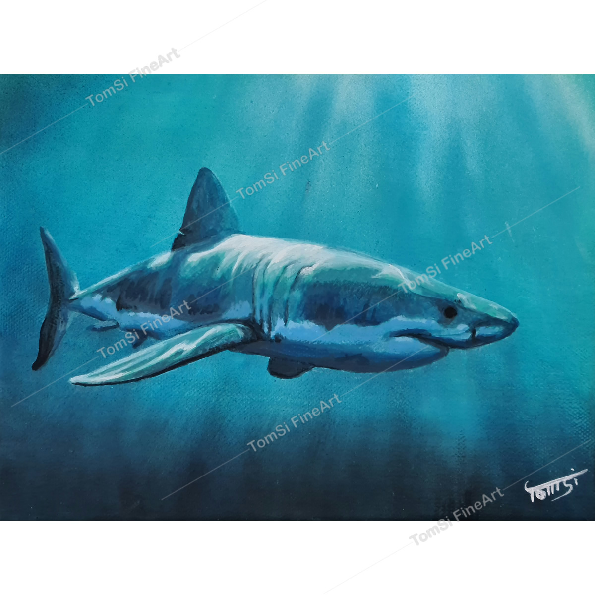 Small Great White #2