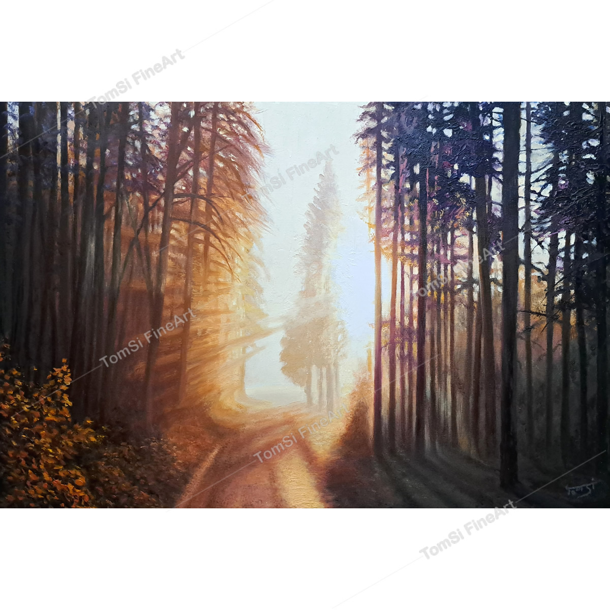 Hazy Glow in the Trees