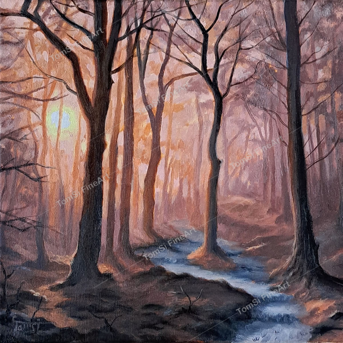 Light in the Autumn Woods