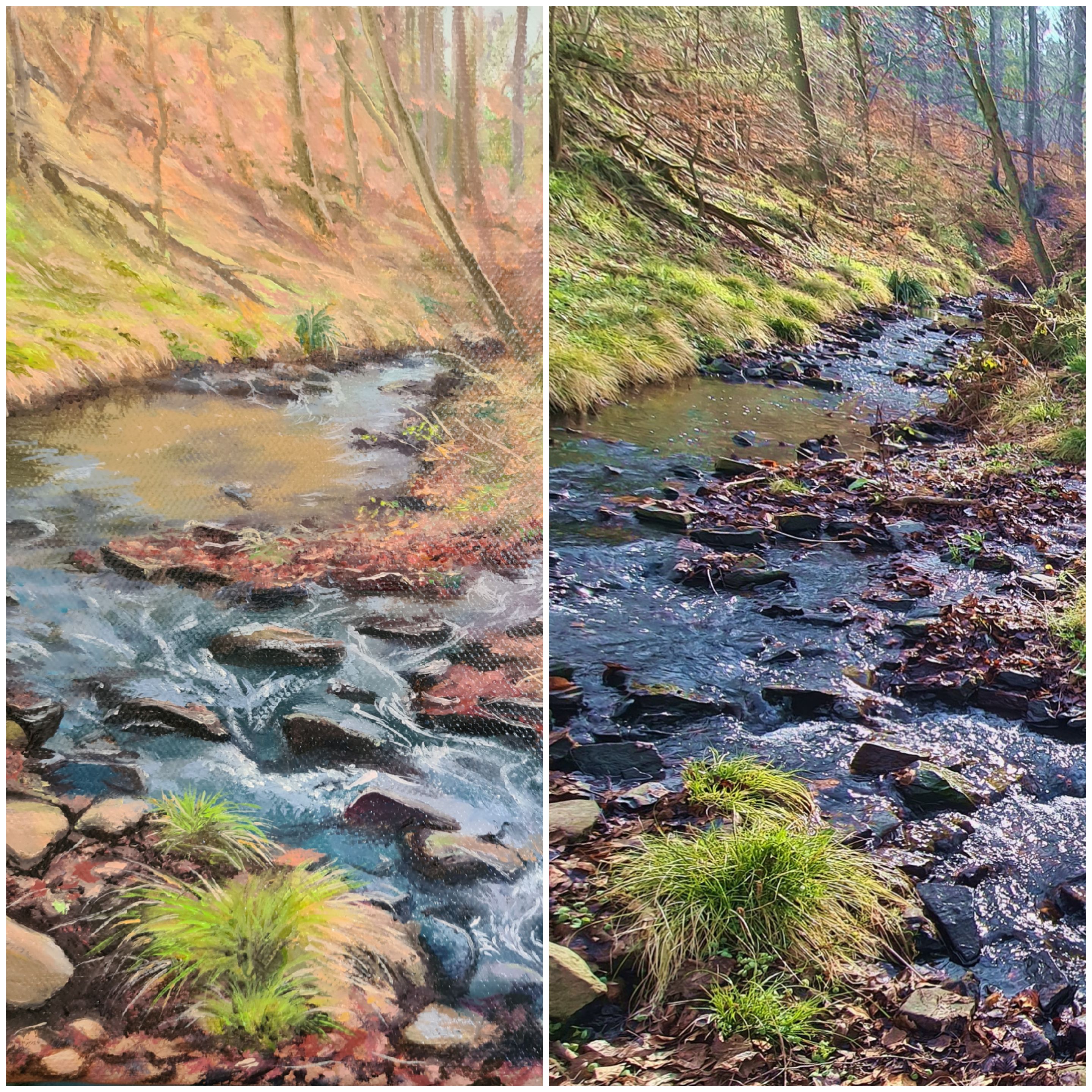 Hidden Forest Stream