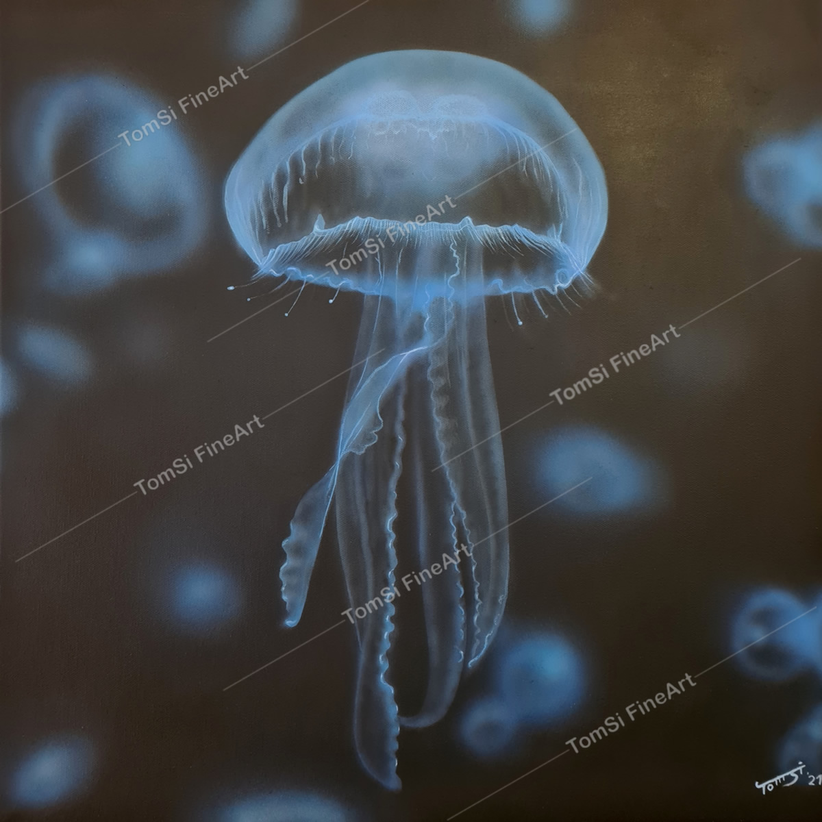  Blue Jellyfish