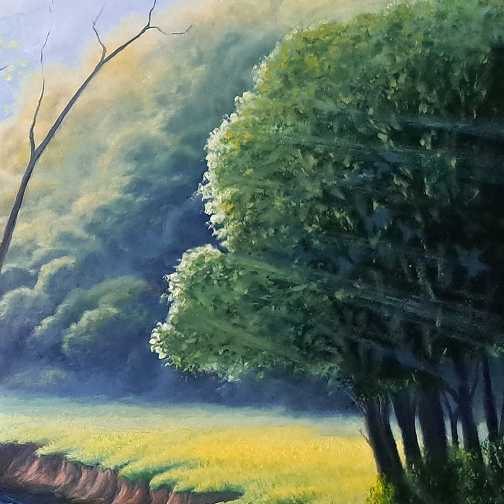 Spring in full Swing