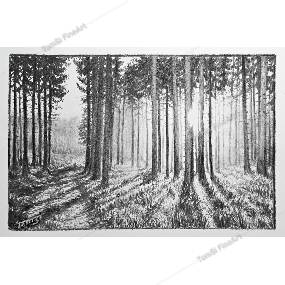 PRINT - Coal Country Landscape #4