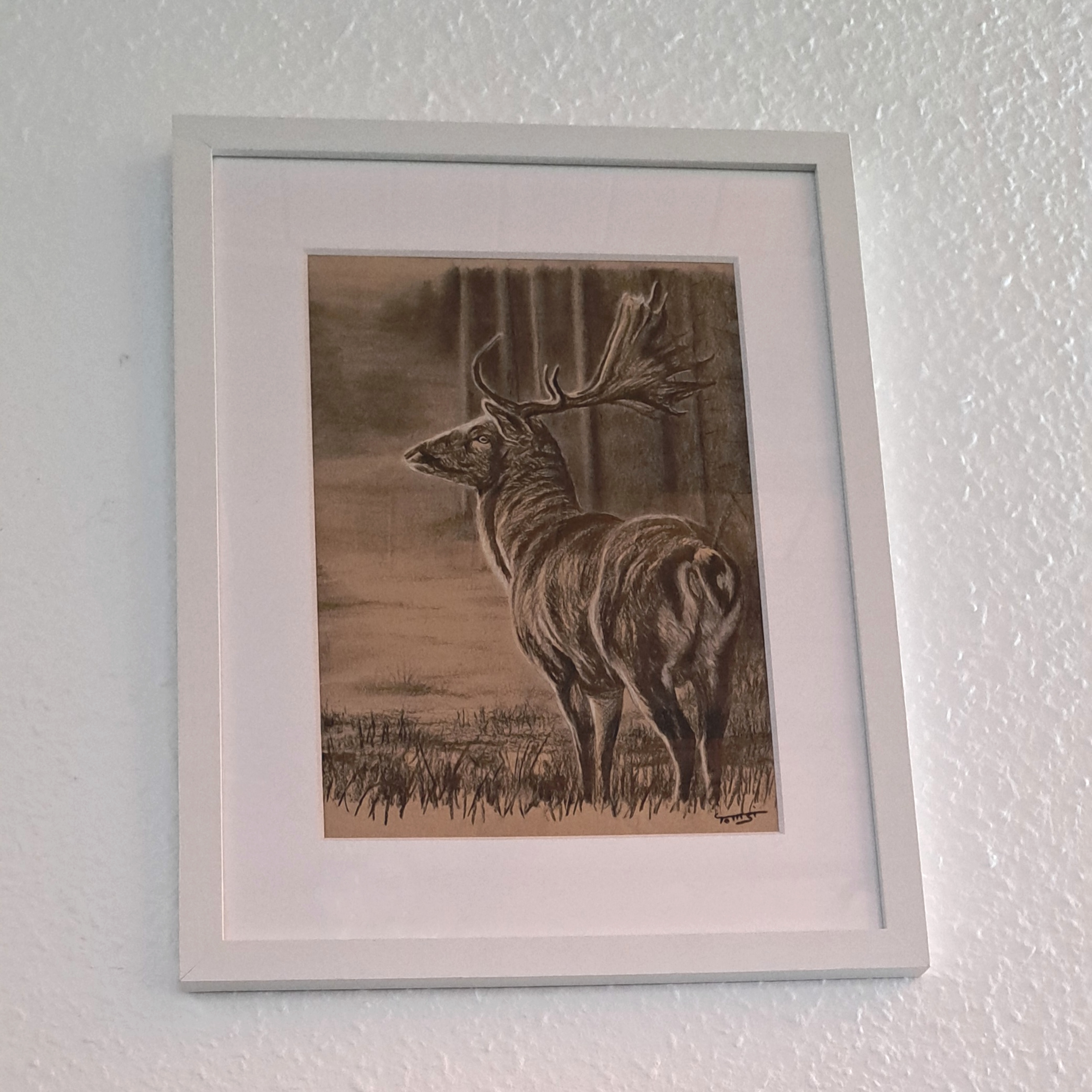 Oh Deer - Charcoal