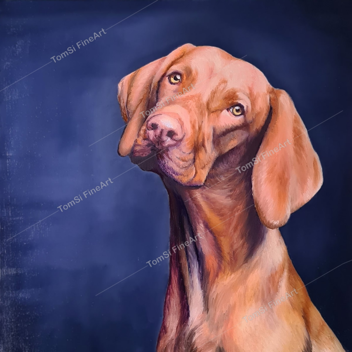 Vizsla Vision