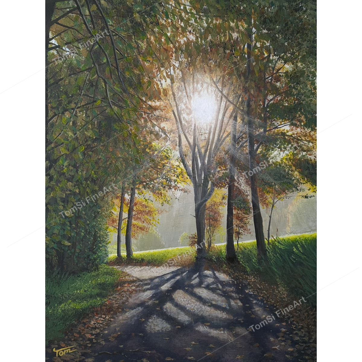 Downhill Kleinhurden