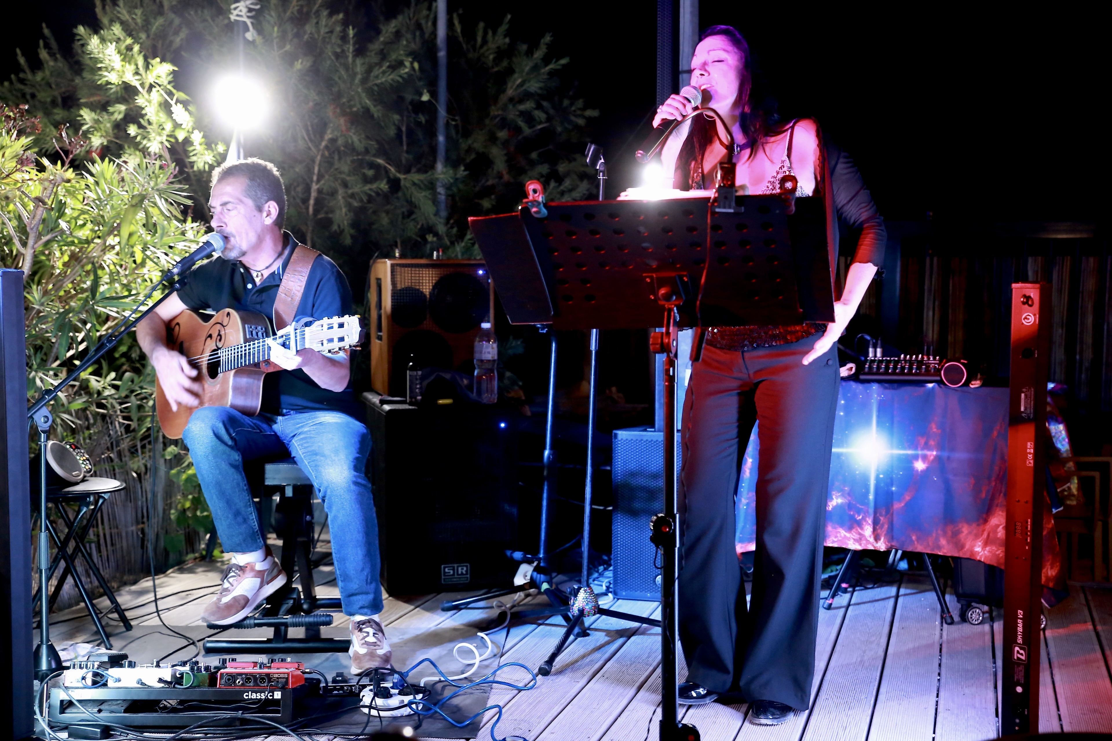 Concert acoustique privé