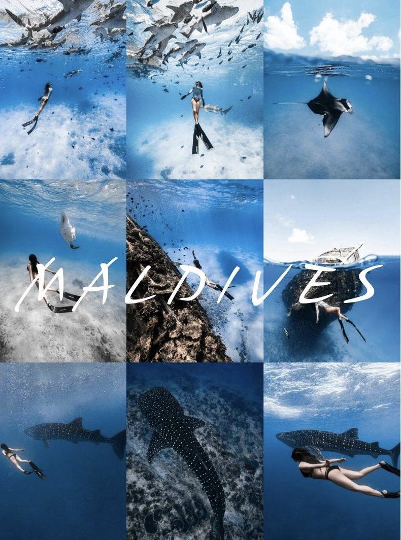 Maldives Travel
