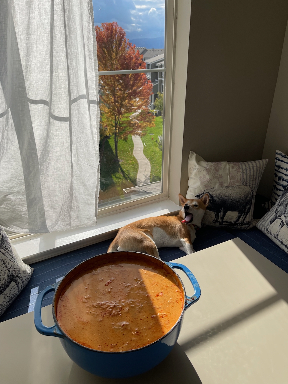 Budweiser und Szegedine Gulasch Kochkurs