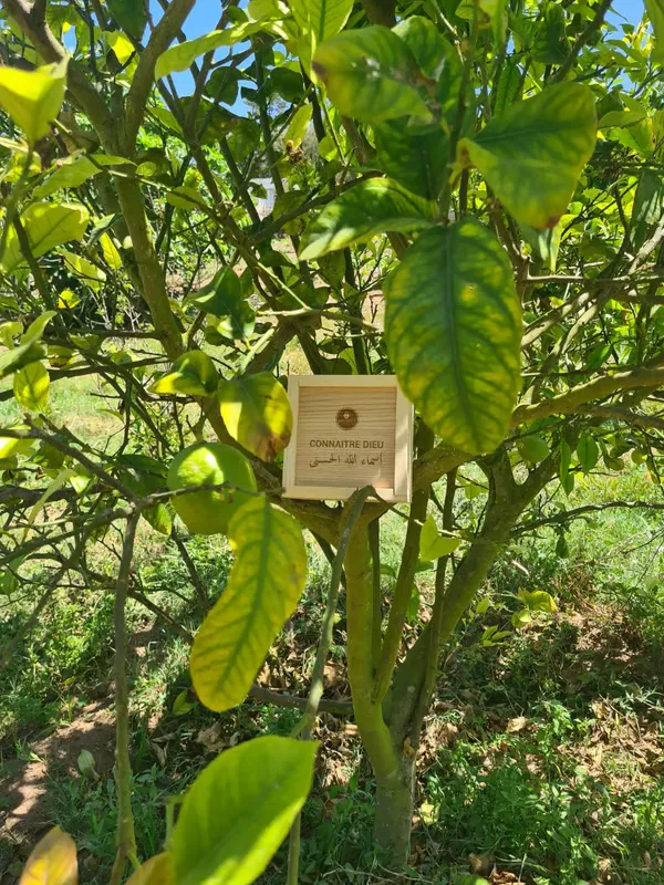 KIT Educatif de Coloriage - Connaitre Dieu💌أسماء الله الحسنى💌 Version Normale/Bois Contreplaqué