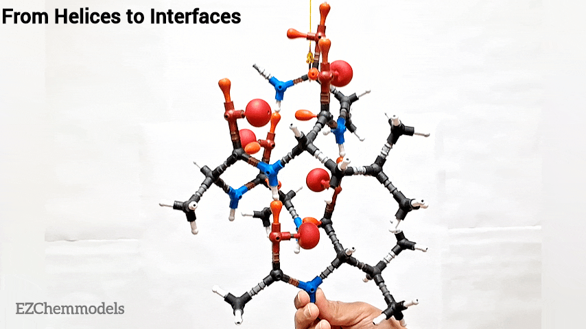 Protein Architecture Kit