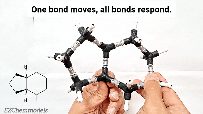 Molecular Motion Kit