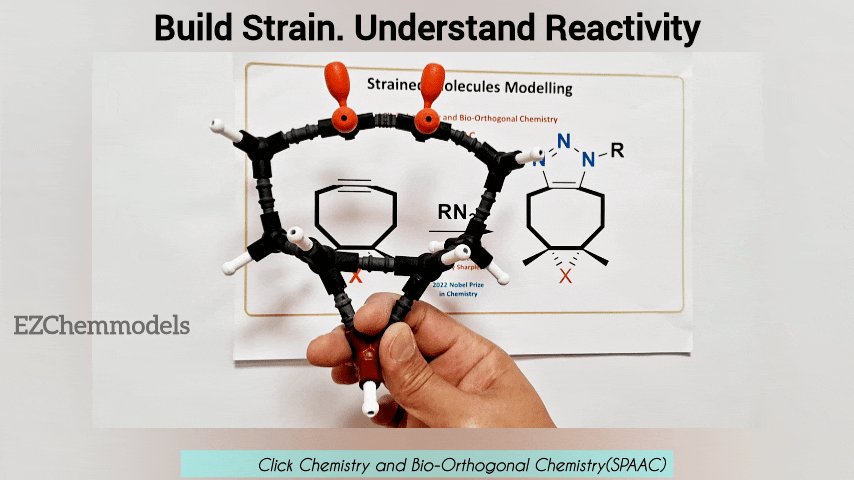 Ring Strain Models Kit
