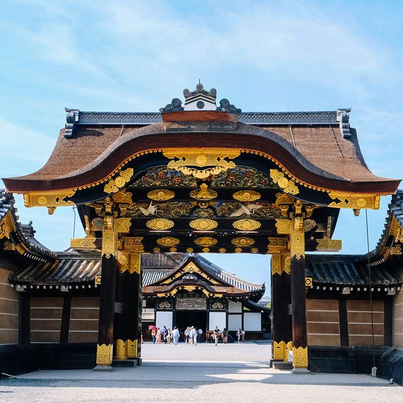 Visite demi-journée