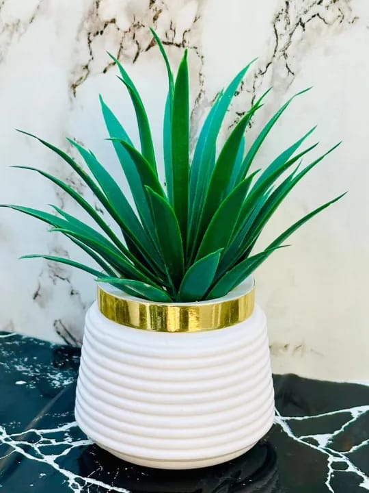 Artificial Succulent Plant in White Pot