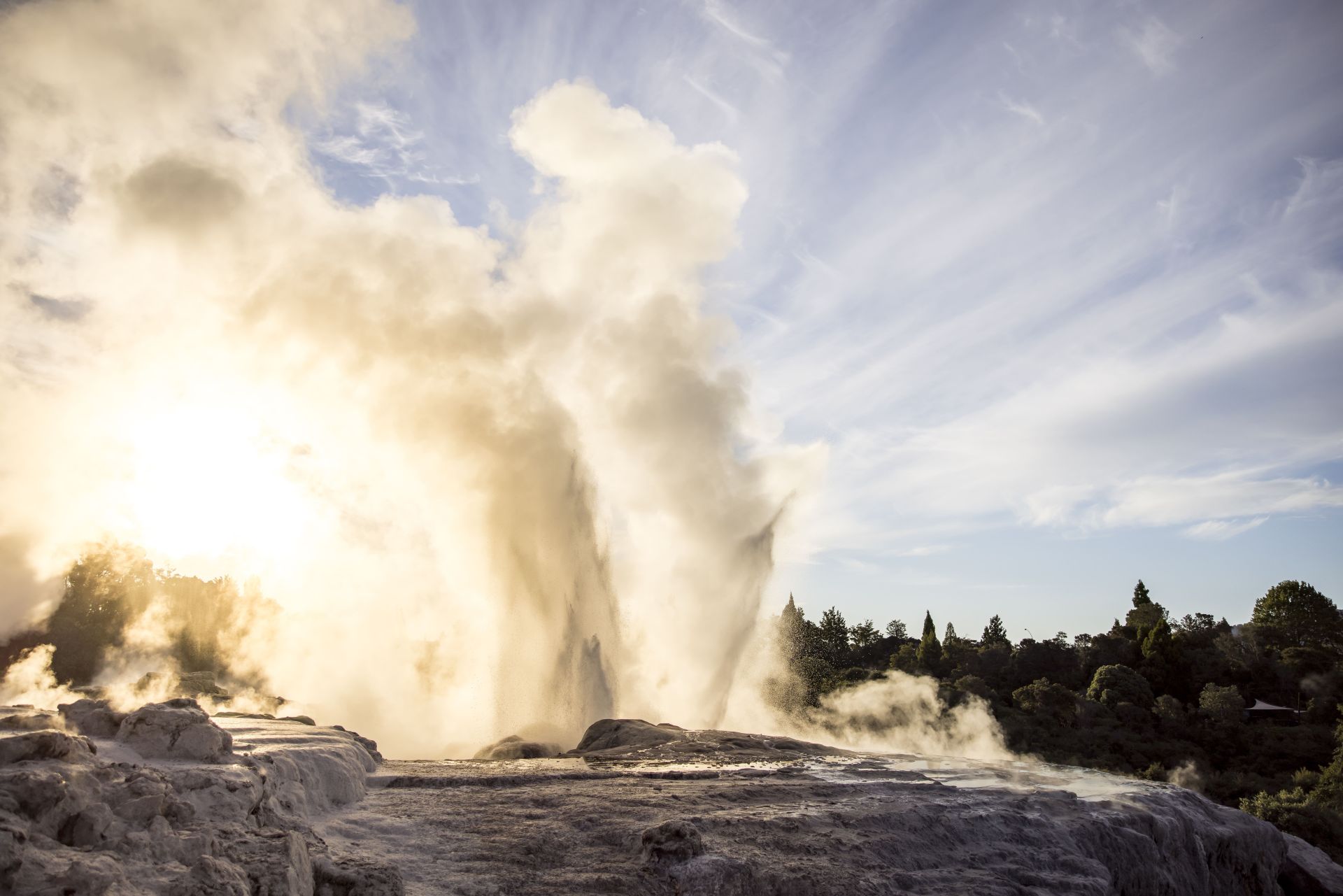 Te Puia Geothermal Valley Rotorua