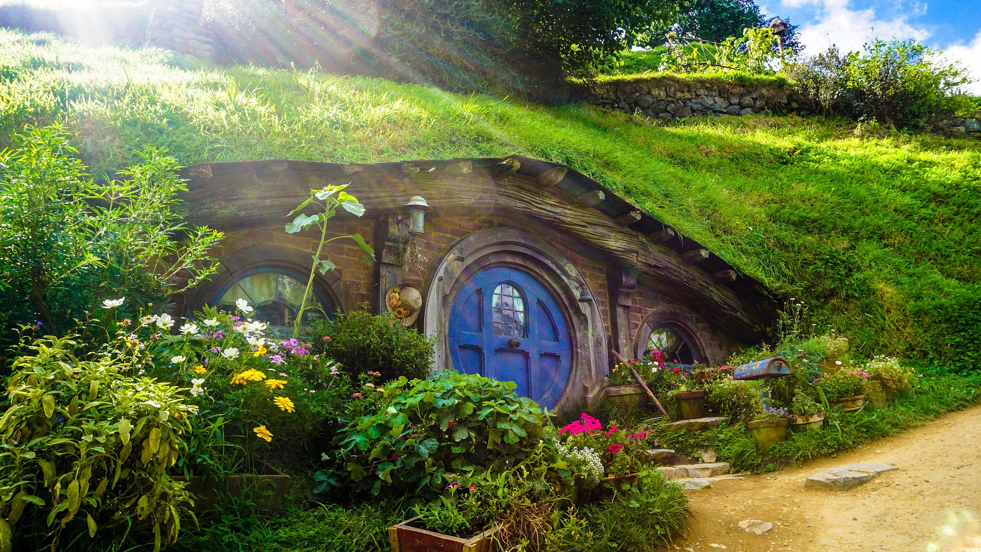 Hobbiton & Waitomo Tour